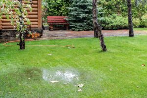 Flooded Yard Drainage Issue northbrook il