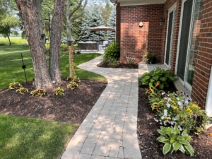 Paver walkway with plantings Libertyville IL