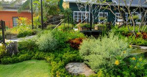 Landscape Designer (1)