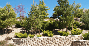 Landscape Designer (4)