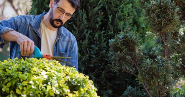 Landscaper