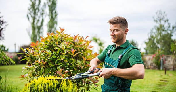 Landscaper