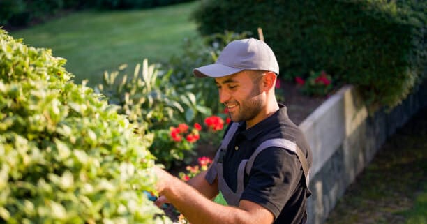 Landscaper