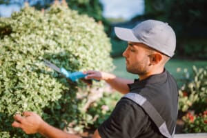 Landscaper