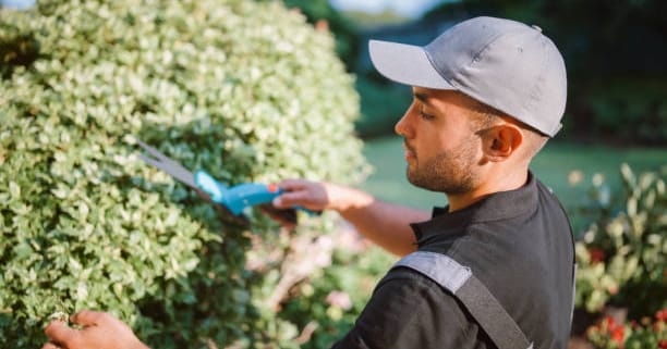 Landscaper